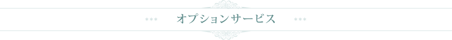 エンゲージリング・マリッジリング結婚指輪のオーダーメイド、Ruity大阪（ルイティー）のオプションサービス