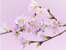 マリッジリング・結婚指輪のオーダーメイド、デザインと制作の大阪専門店Ruity（ルイティー）。大切なマリッジリング、婚約指輪、エンゲージリング、ジュエリーなどブライダルやウェディングアイテムから、オリジナルムービー（映像DVD）までフルオーダー。